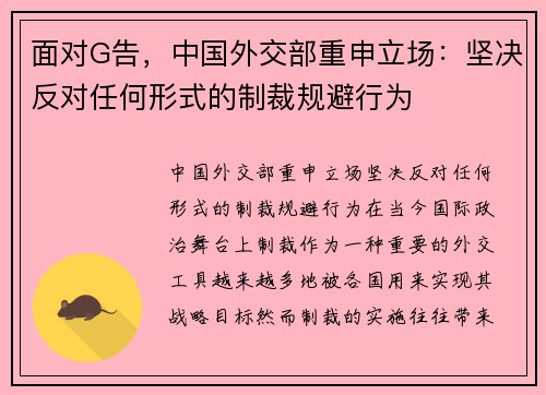 面对G告，中国外交部重申立场：坚决反对任何形式的制裁规避行为