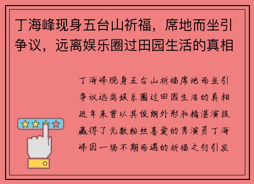 丁海峰现身五台山祈福，席地而坐引争议，远离娱乐圈过田园生活的真相