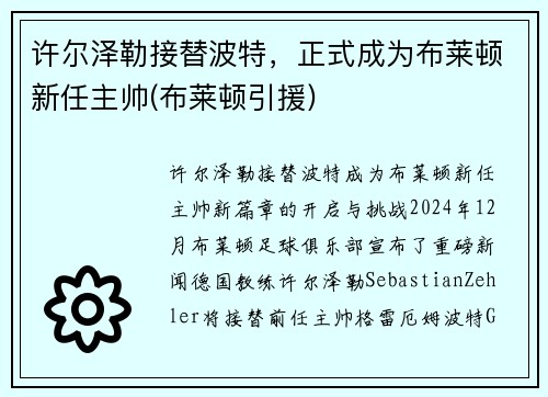 许尔泽勒接替波特，正式成为布莱顿新任主帅(布莱顿引援)