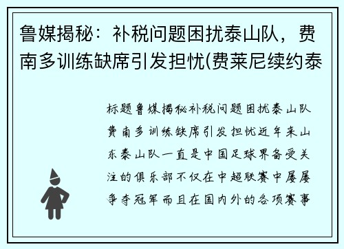 鲁媒揭秘：补税问题困扰泰山队，费南多训练缺席引发担忧(费莱尼续约泰山)